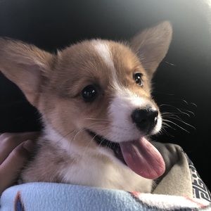 Meet your Posher, Alejandro